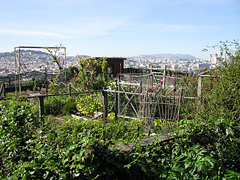 San Francisco, CA
